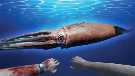 Are Giant Squids Real Bityred