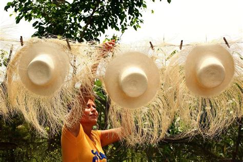 El Sombrero De Paja Toquilla Tradición Hecha Arte En Ecuador La