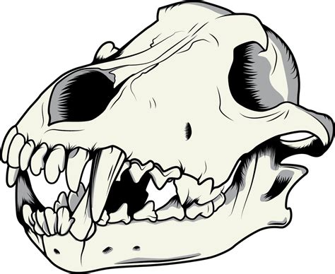 Wolf Skull Vector By Niktollison On Deviantart