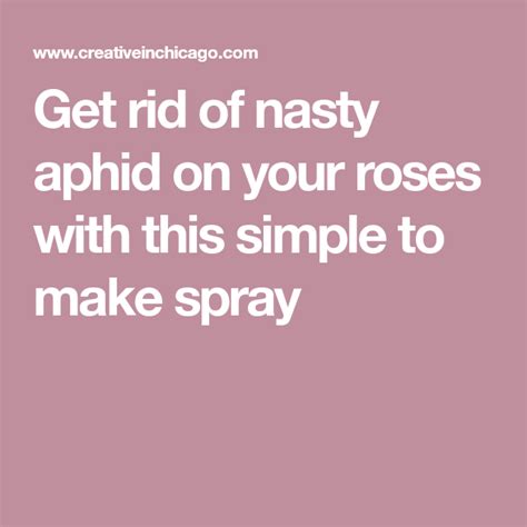 Home Made Aphid Spray For Roses Aphid Spray Get Rid Of Aphids Rose
