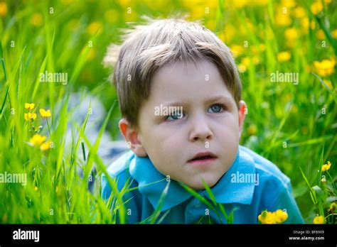 Portrait Of 4 Years Old Boy Lying In Grass Stock Photo Alamy
