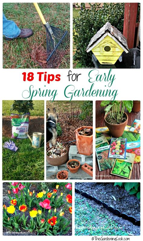 From early years to primary, you'll find phonics worksheets and numeracy games and all you need to revise for sats. Early Spring Garden Projects - The Gardening Cook