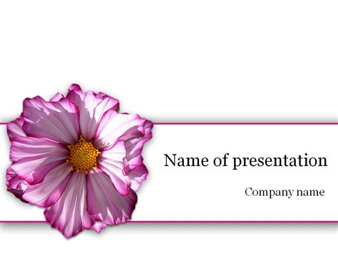 Download Free Purple Flower Powerpoint Template For Presentation
