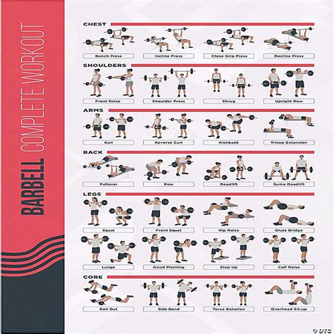 Postermate Fitmate Barbell Workout Exercise Poster Workout Routine