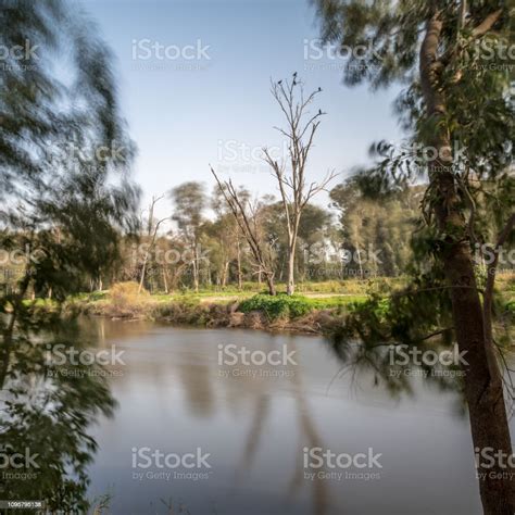 Beautiful Long Exposure Landscape In A Nature Reserve During A Windy