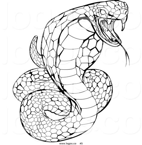 King Cobra Drawing Free Download On Clipartmag