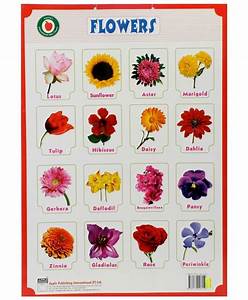 Pin By Seol Daniel On Fleurs Flower Names Types Of Flowers Pretty
