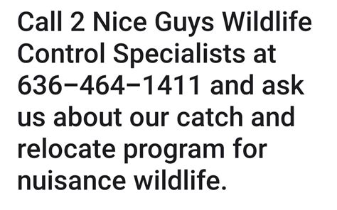 2 nice guys termite and pest control