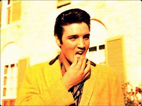 Elvis Elvis Presley Wallpaper 31605366 Fanpop
