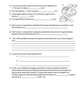 Dna replication occurs through a semiconservative mechanism, because each dna replication is defined as semiconservative. DNA Structure and Replication worksheet by Scientific Musings | TpT