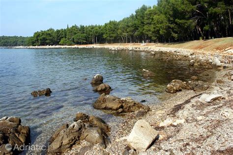 Playa Kuvi Rovinj Rovinj The Best Beaches In Croatia Adriatic Hr