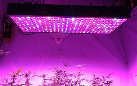 Check spelling or type a new query. The Promising Future of LED Grow Light Technology ...