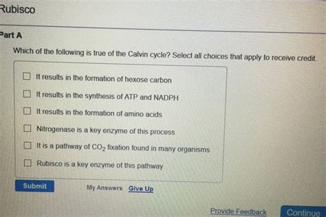 Solved: Which Of The Following Is True Of The Calvin Cycle ...