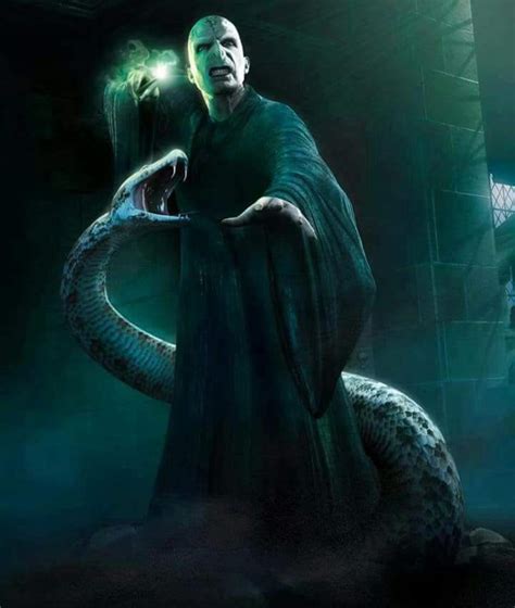 Lord Voldemort Wiki ⚡ Harry Potter ⚡ Amino