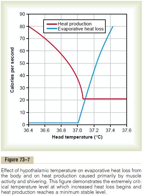 Concept Of A “set Point” For Temperature Control
