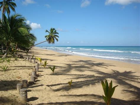 Playa Coson Beach Las Terrenas Aktuelle 2020 Lohnt Es Sich Mit Fotos