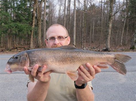 The Adventures And Musing Of Drew Price Angler New State Record White