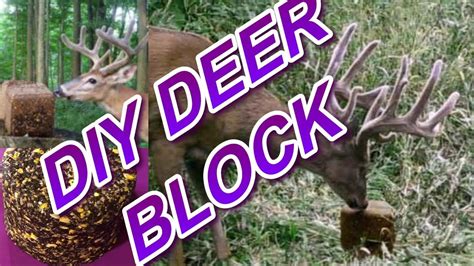 Homemade Deer Bait Blocks My Bios