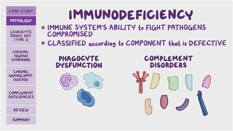 Immunodeficiencies Phagocyte And Compliment Dysfunction Pathology