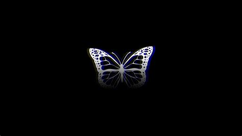 Simple Animals Minimalism Butterfly Insect Digital Art Abstract
