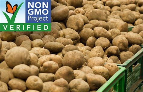 Potatoes Have Landed On The Non Gmo Projects High Risk List What
