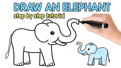 How To Draw An Elephant Simple How To Draw Tutorial Youtube