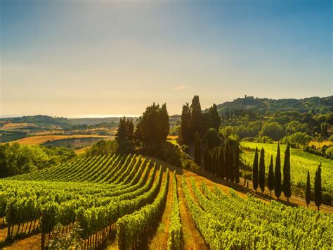 There can be flat plains near the coast and then as you. The Best Day Trips from Florence, Italy to Visit This Year ...