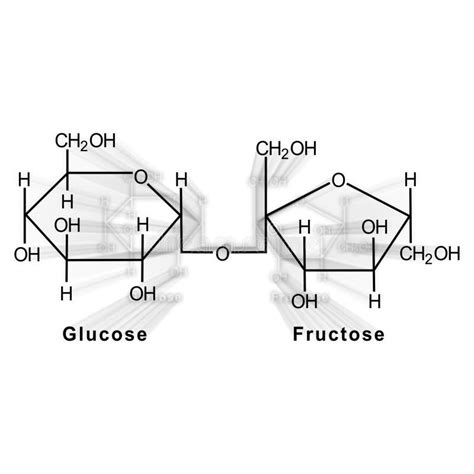 Sucrose Structural Chemical Formula Stock Illustration Illustration