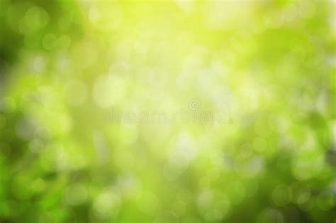 Green Nature Background Selective Focus Stock Photo Image Of