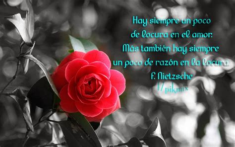 Come by yourself, with a group, or with your family. Imágenes de rosas rojas con frases de amor - Descargar ...