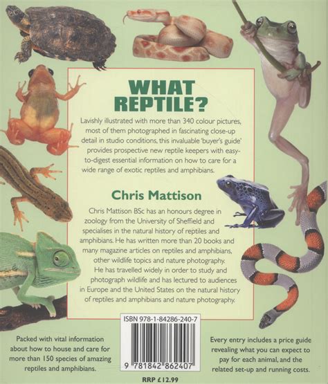 What Reptile Essential Information To Help You Choose The Right Pet