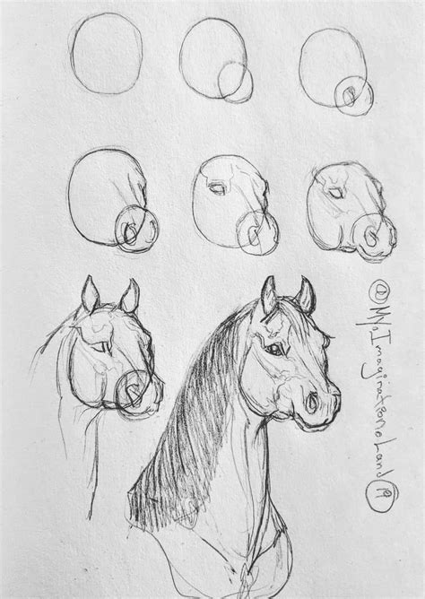 Then draw the ears and neck, that widens downwards. 15 Horse Drawings Step by Step Easy for Beginners 2020