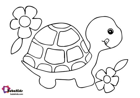 Cute Little Turtle Coloring Page Free Download And