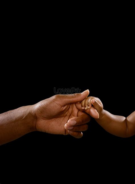 Holding Baby Adult Hand Picture And Hd Photos Free Download On Lovepik