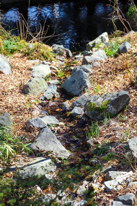 A Small Creek Flowing Over Rocks Into A Koi Pond In The Garden