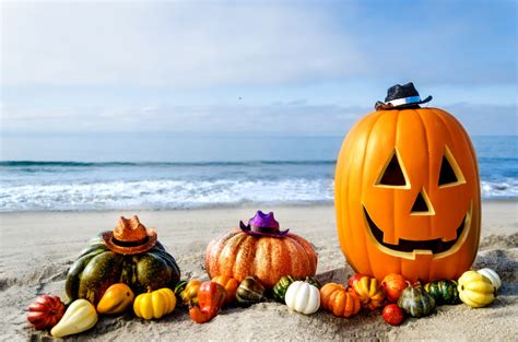 4 reasons why fall in florida is a great time to buy a home real estate sarasota and manateee
