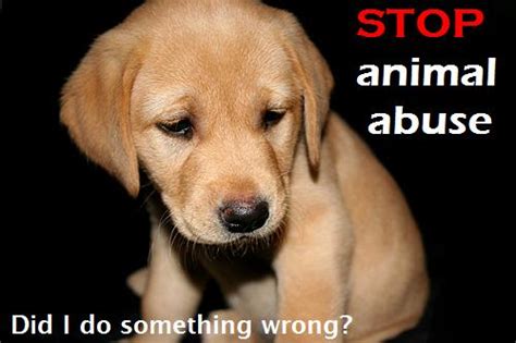 Animal abuse occurs throughout the world and across many demographics. Animal abuse: HARD FACTS!!!!!!!!!!!!!