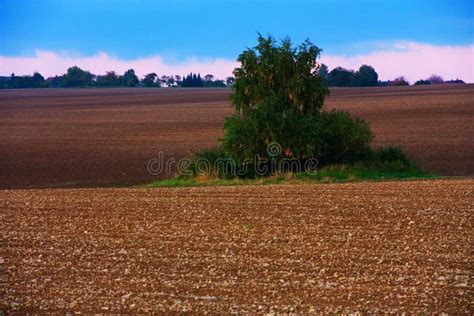 Feld Im Herbst Stockbild Bild Von Bauernhof Freizeit 49222307