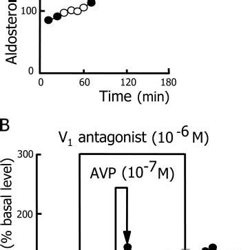 Characterization Of The Avp Receptor Expressed In Apa A Effect Of Avp