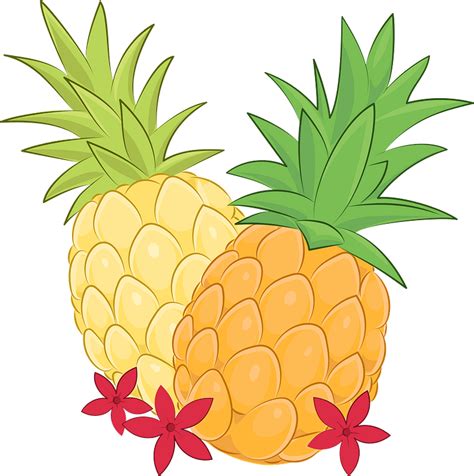 Pineapple Plant Clipart Free Download Transparent Png