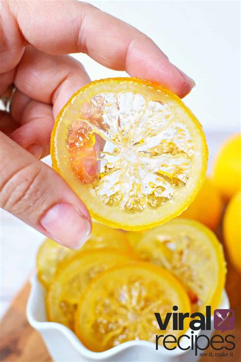 Tiktok Candied Orange Slices And Lemon Slices Viral Recipes