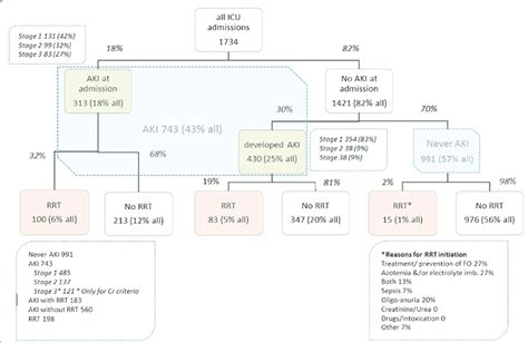 Acute Kidney Injury Chart