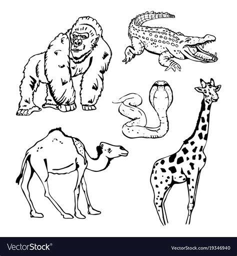 Hand Drawn Pencil Graphics African Animals Set Vector Image