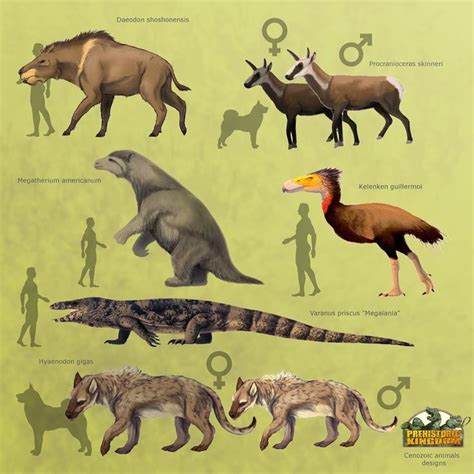 Prehistoric Kingdom Size Comparison Papodinosaurspapospinosaurus