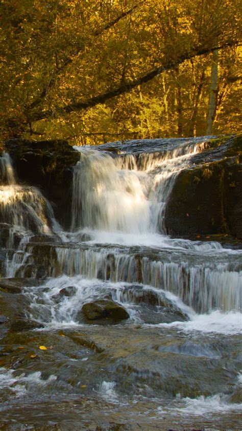 Download Wallpaper 1350x2400 Waterfall Cascade Stones Trees Autumn