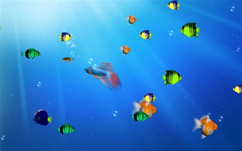 Ocean Life Aquarium Animated Wallpaper Collection