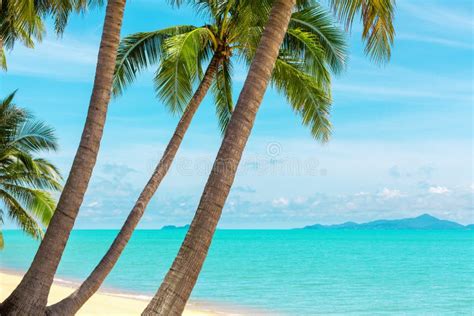 Tropical Beach Landscape Exotic Island View Turquoise Sea Water
