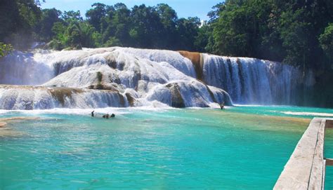 Las Cascadas De Agua Azul Hermosa Maravilla De Chiapas Bienestar Para Todos