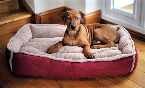 Wolfybeds Large Padded Luxury Fleece Dog Bed In Winterberry Red 36 X