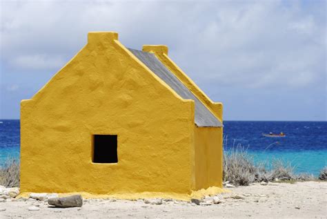 Wat Te Doen Op Bonaire Bezienswaardigheden Tips En Must See S